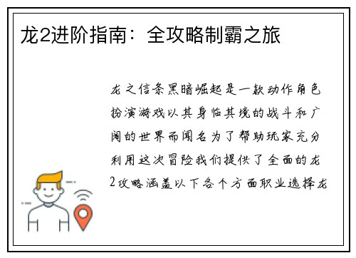 龙2进阶指南：全攻略制霸之旅